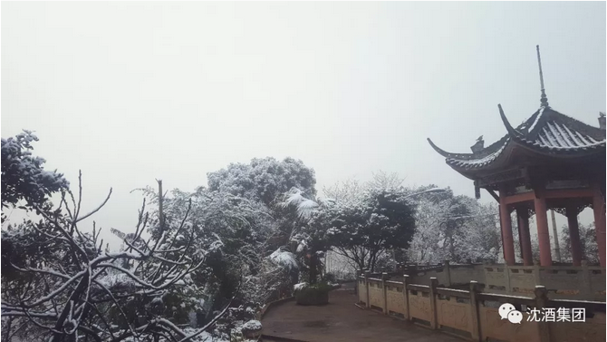 中国50340大港澳官网.png