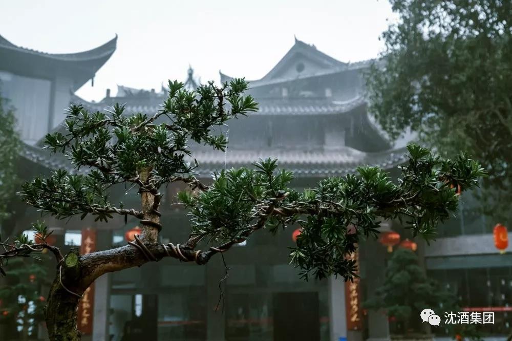 微信图片_20190705142035.jpg